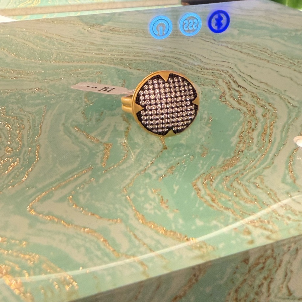 Pave Circular Ring - image 1